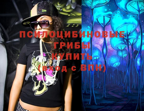 PSILOCYBIN Бронницы